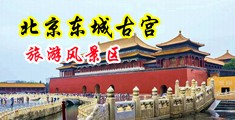 妈妈让我尻她阴道中国北京-东城古宫旅游风景区